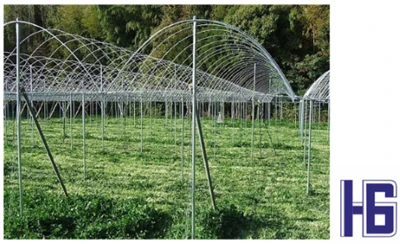 The Application of Carbon Fiber Pipes in Agriculture